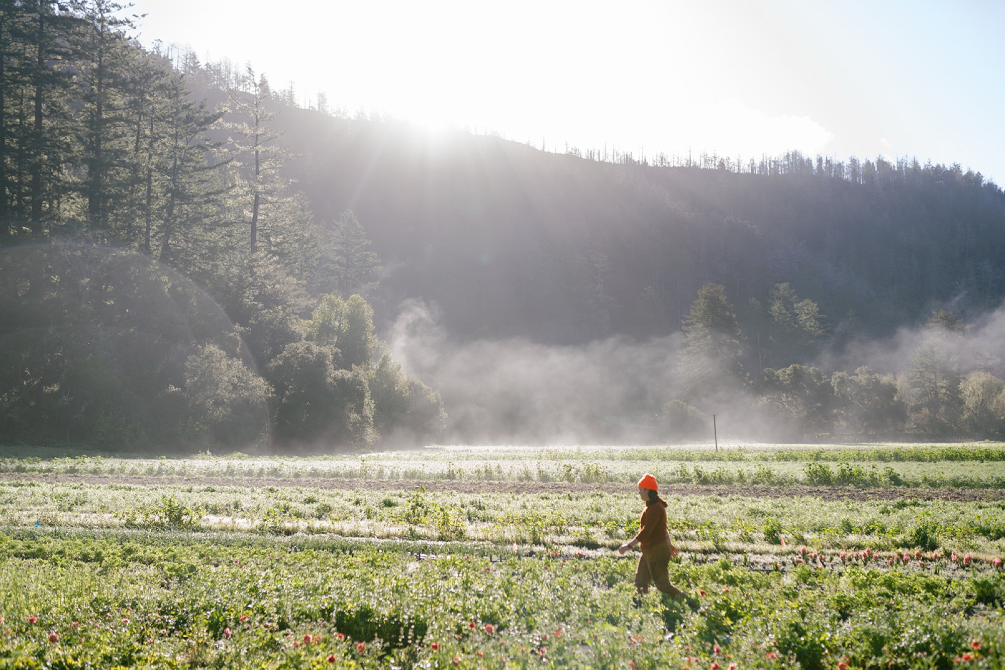 Do Right Flower Farm Wedding Vendor Spotlight by Natasha Lozanoff Photography