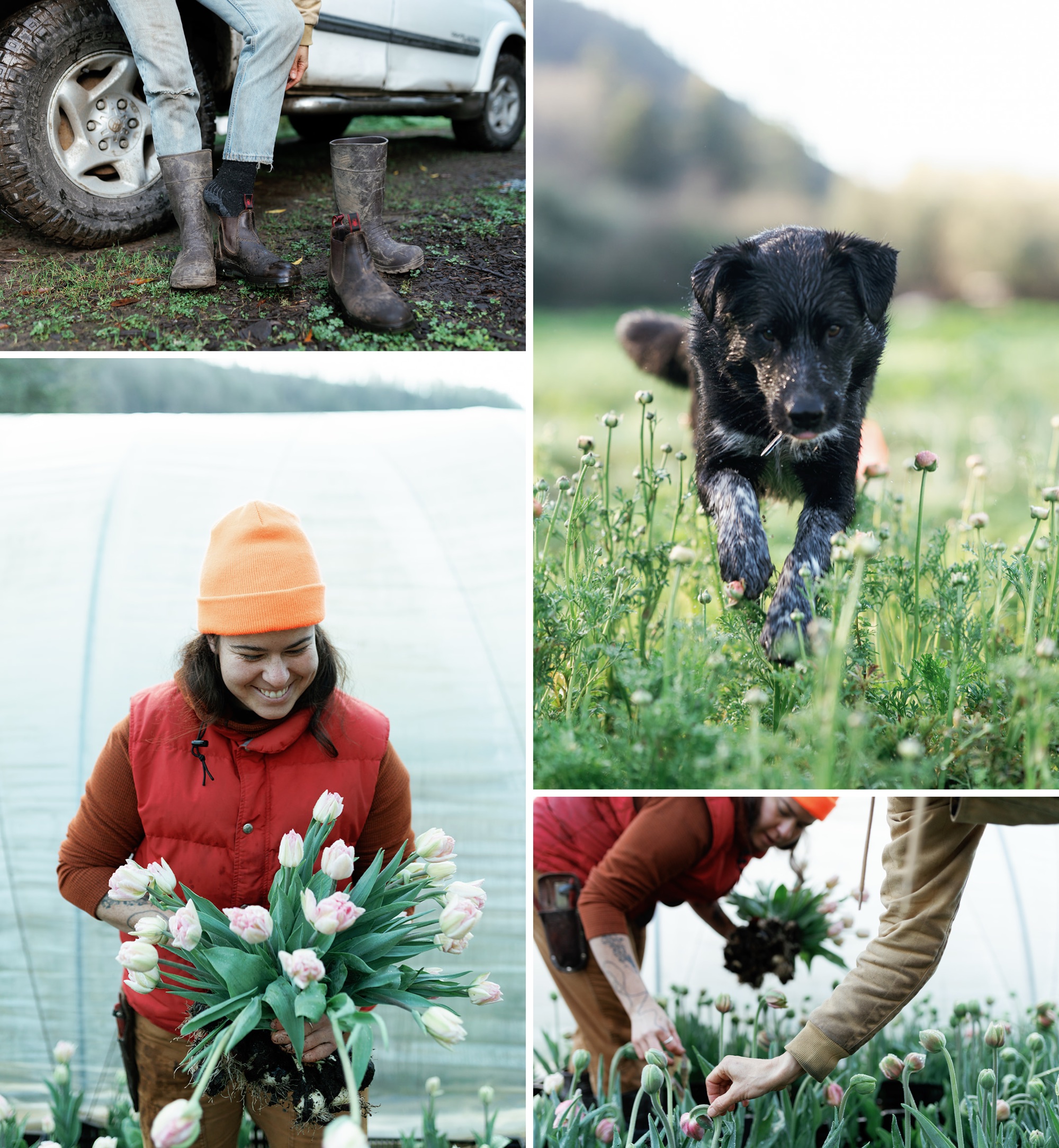 Bay Area wedding florists; local wedding florists
