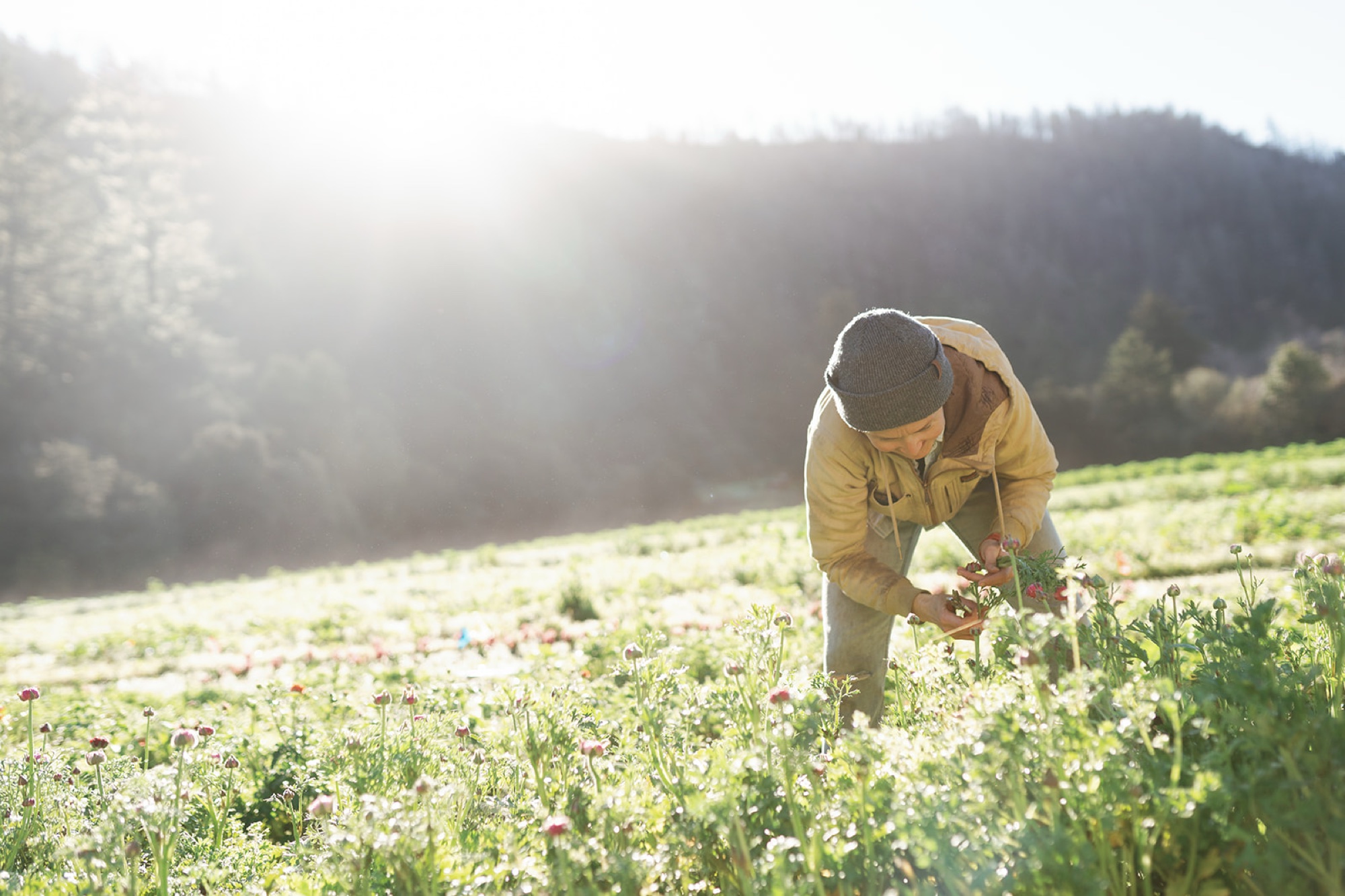 sustainable farming; oranganic flower farm; Do Right Flower Farm wedding bouquets