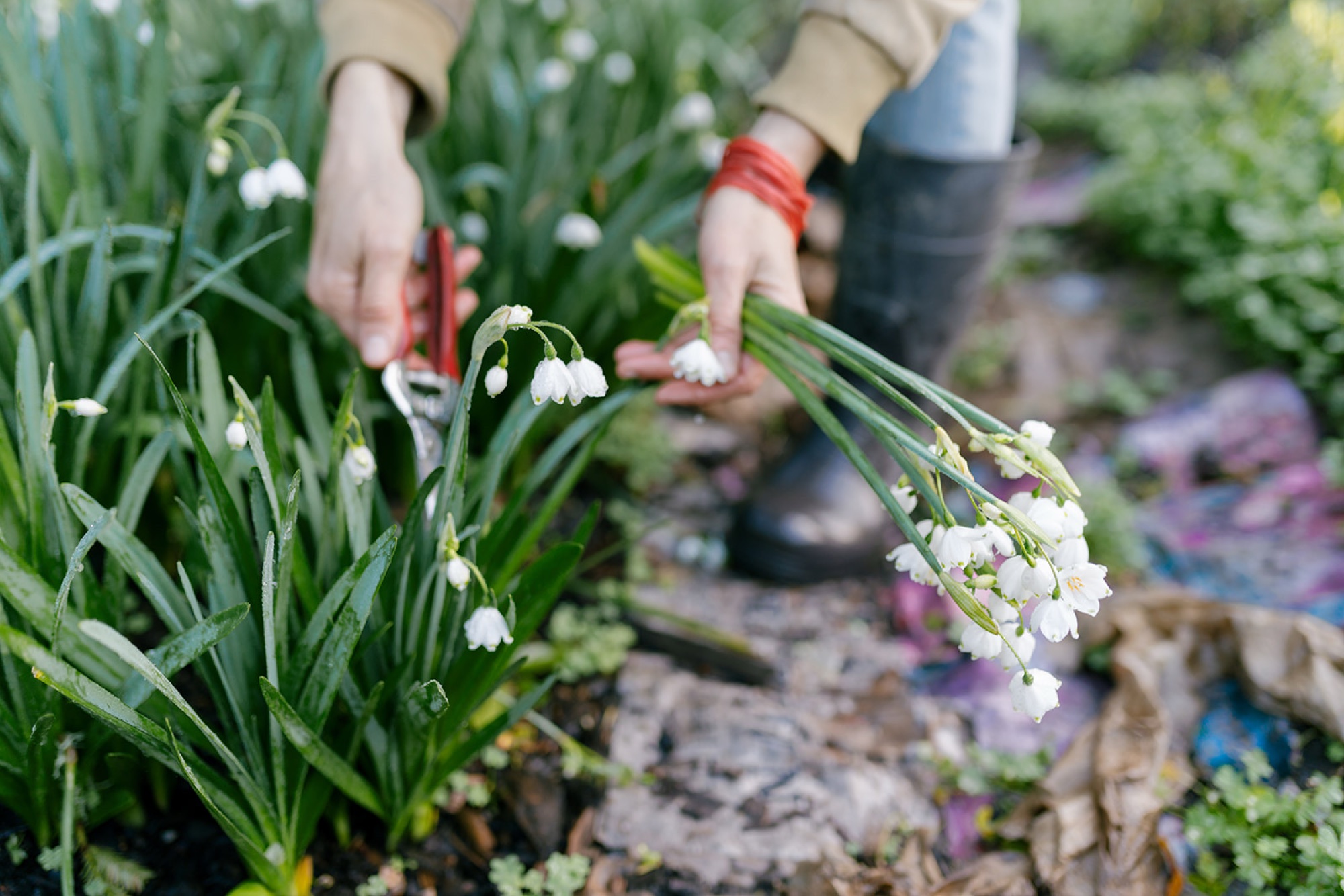 Do Right Flower Farm Wedding Vendor Spotlight by Natasha Lozanoff Photography