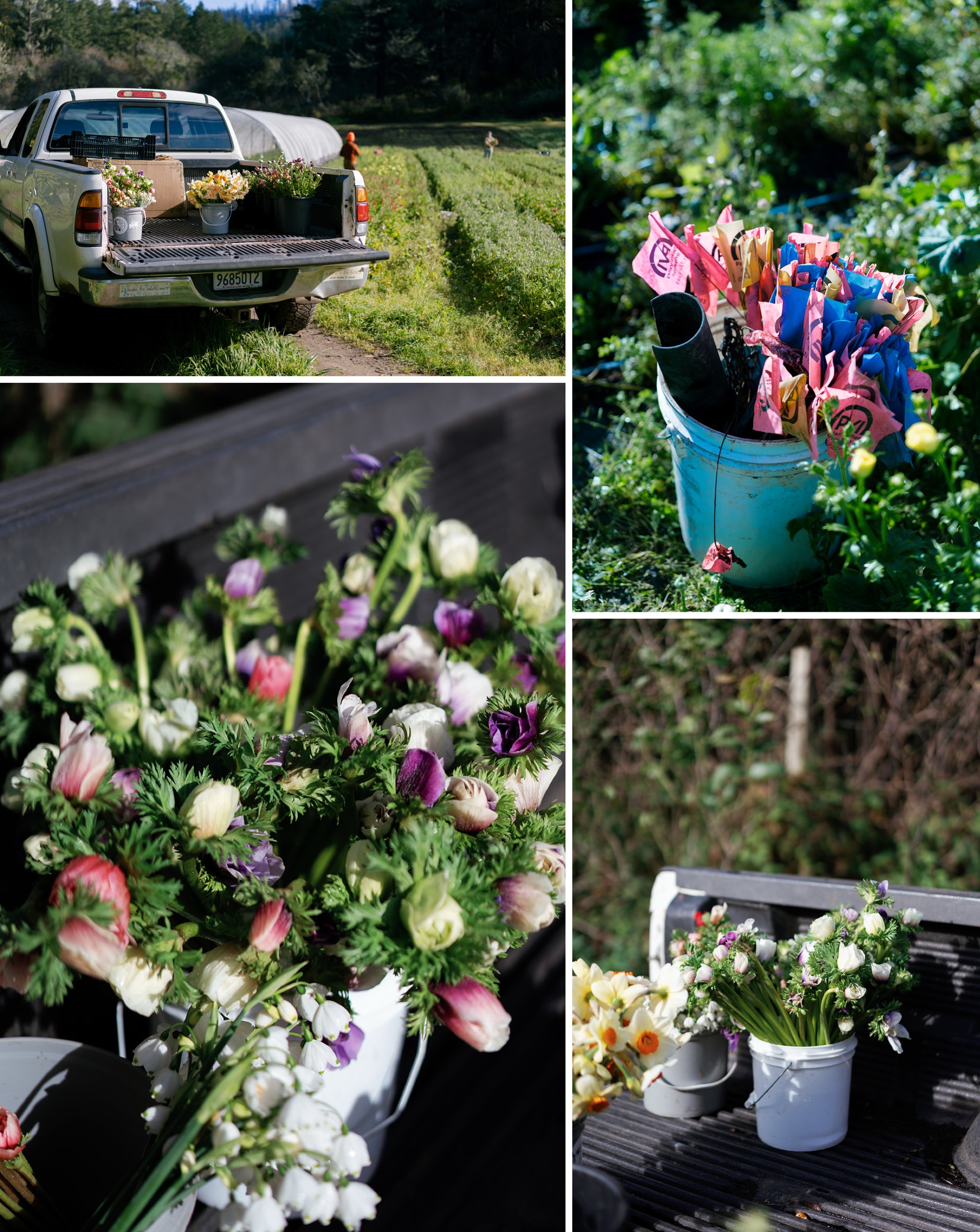 Bay Area wedding florists; local wedding florists