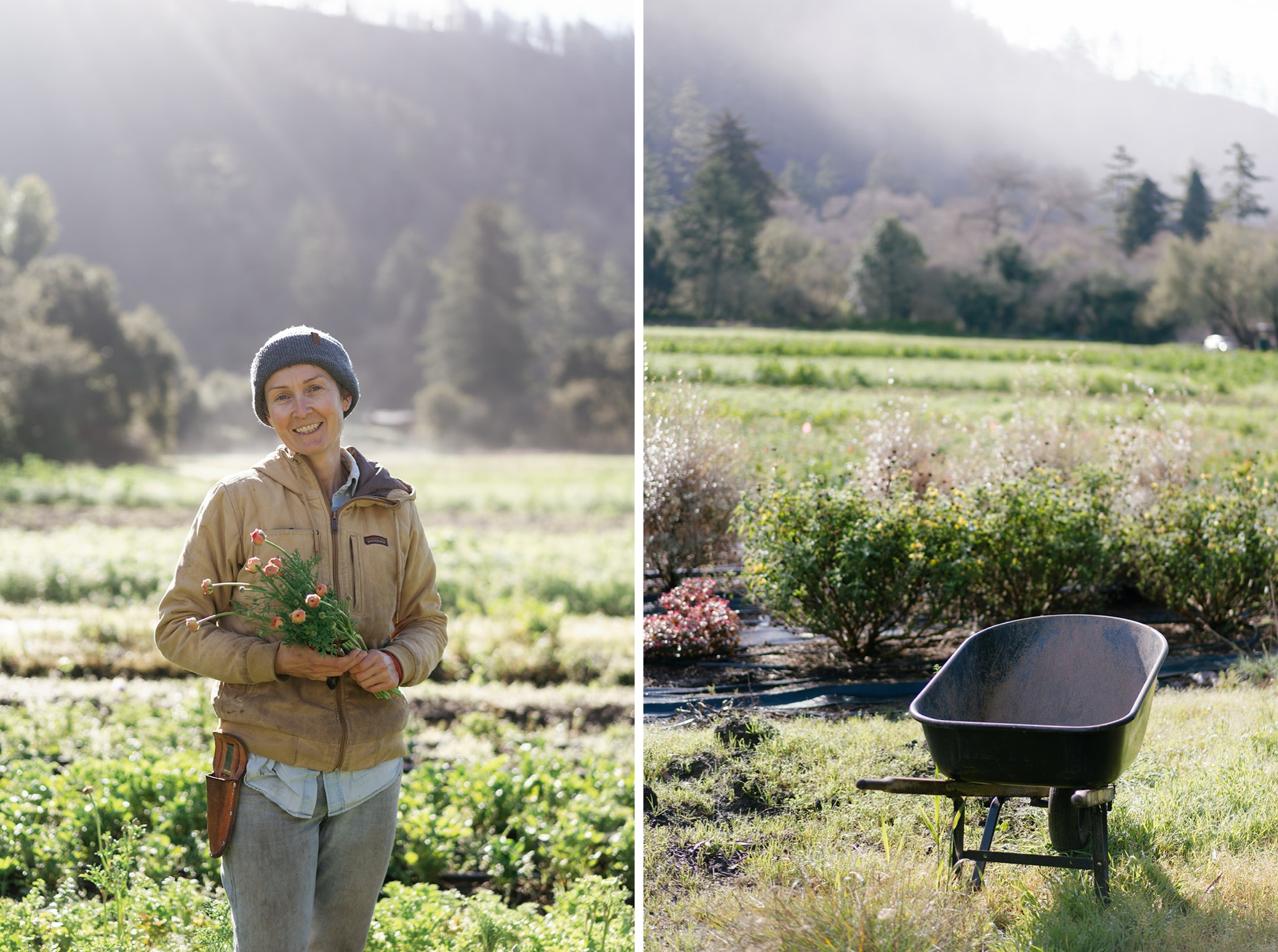 Do Right Flower Farm Wedding Vendor Spotlight by Natasha Lozanoff Photography