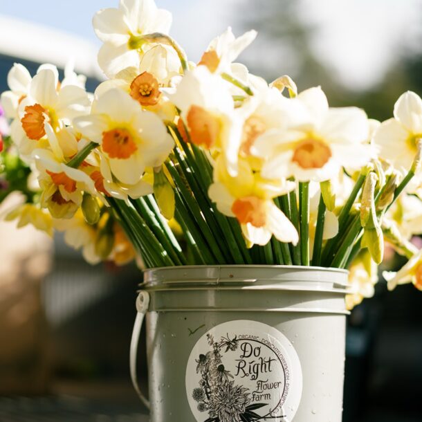 Do Right Flower Farm wedding florist