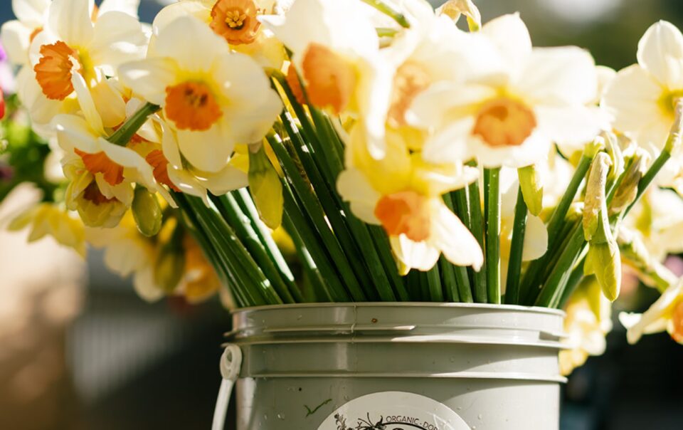 Do Right Flower Farm wedding florist