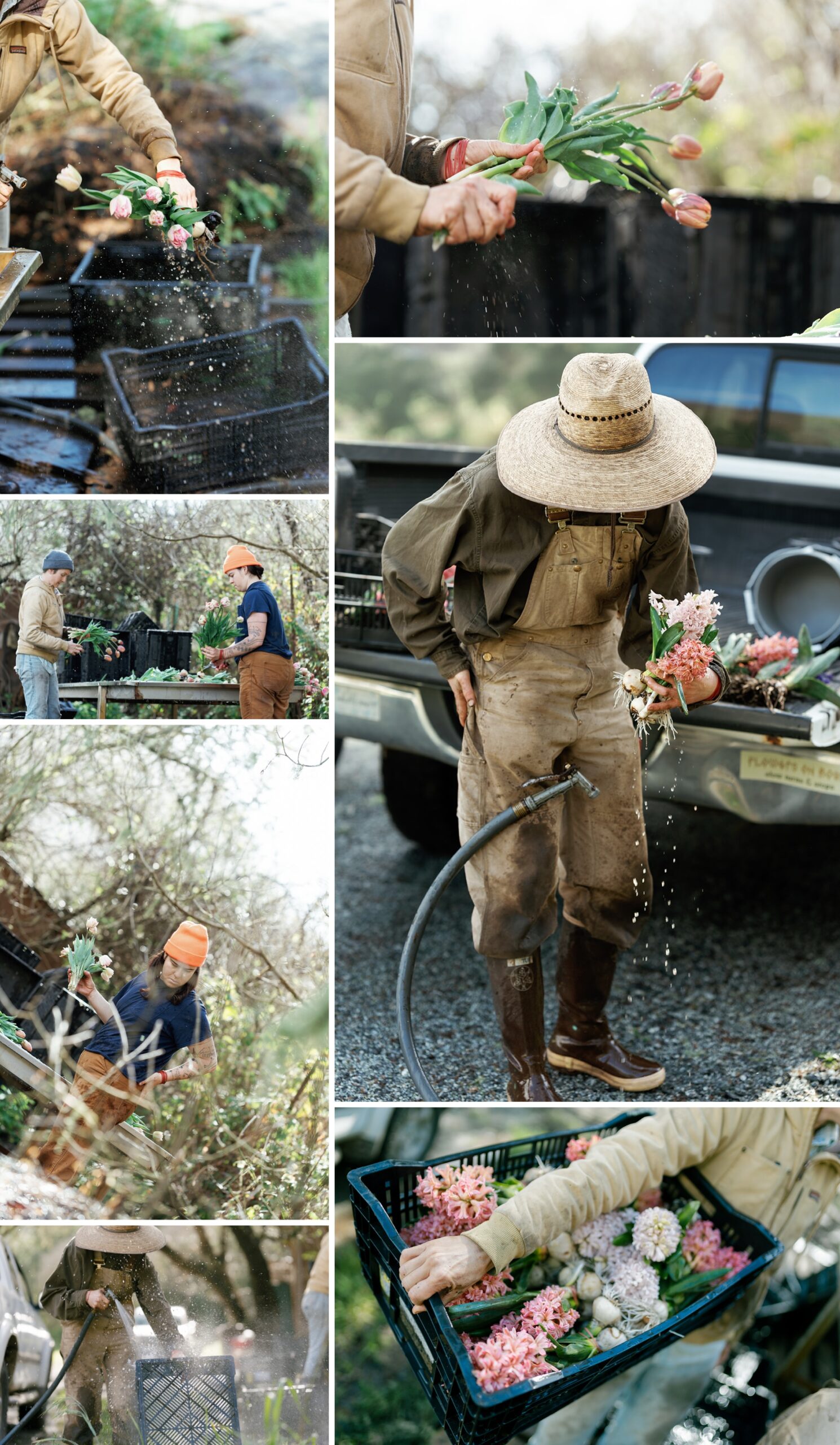 sustainable farming; oranganic flower farm; Do Right Flower Farm wedding bouquets